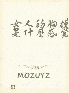 女人的胸摸起来是什么感觉