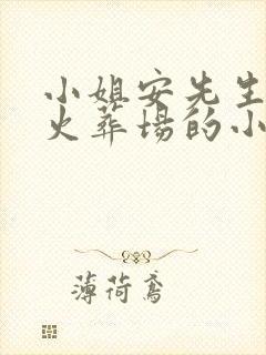 小姐安先生已死火葬场的小说免费阅读