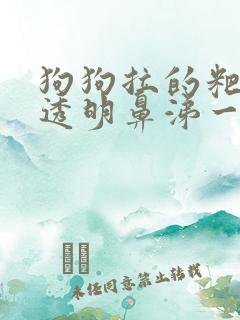 狗狗拉的粑粑有透明鼻涕一样东西