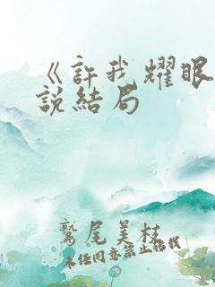 《许我耀眼》小说结局