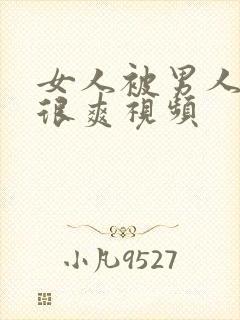 女人被男人干的很爽视频