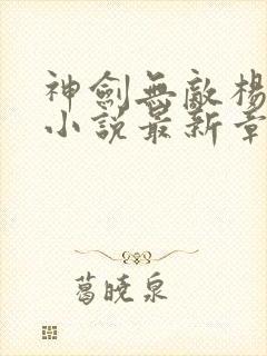 神剑无敌杨小天小说最新章节阅