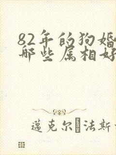 82年的狗婚配哪些属相好