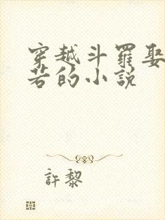 穿越斗罗娶寒若若的小说