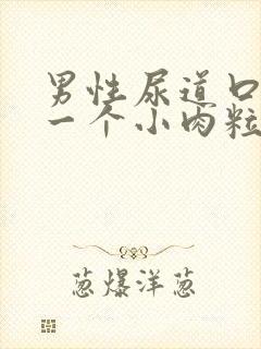 男性尿道口上长一个小肉粒