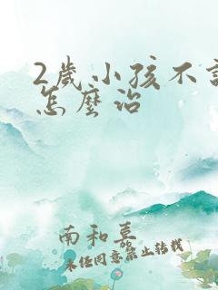 2岁小孩不说话怎么治