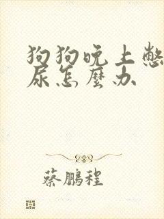 狗狗晚上憋不住尿怎么办