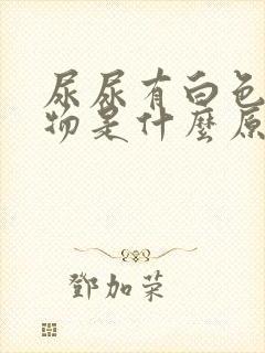 尿尿有白色浑浊物是什么原因