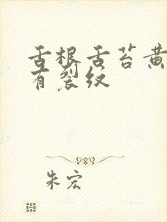 舌根舌苔黄厚腻有裂纹