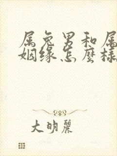 属兔男和属龙女姻缘怎么样