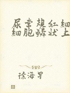 尿常规红细胞白细胞鳞状上皮细胞高