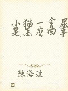 小猫一会尿一点是怎么回事