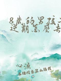 8岁的男孩子叛逆期怎么去引导