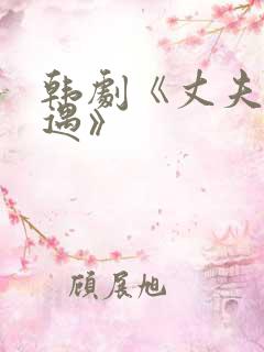 韩剧《丈夫的外遇》