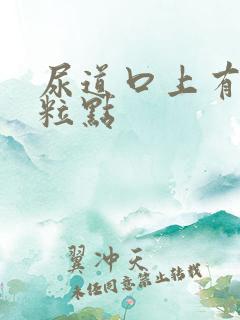 尿道口上有小肉粒点