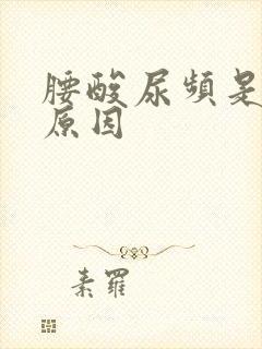 腰酸尿频是什么原因