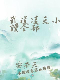 武道凌天小说阅读全部