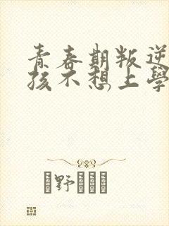 青春期叛逆期男孩不想上学