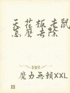 天花板老鼠尿味怎么去除