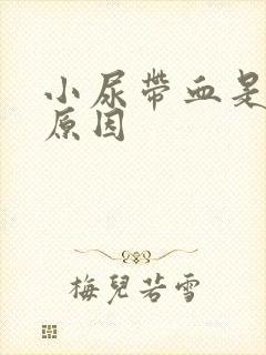 小尿带血是什么原因