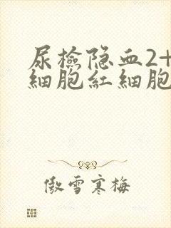 尿检隐血2+白细胞红细胞高