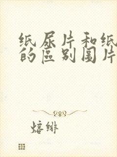 纸尿片和纸尿裤的区别图片