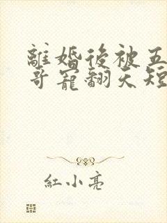 离婚后被五个哥哥宠翻天短剧免费观看