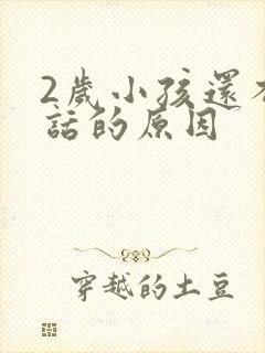 2岁小孩还不说话的原因