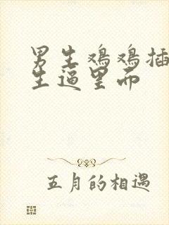 男生鸡鸡插进女生逼里面