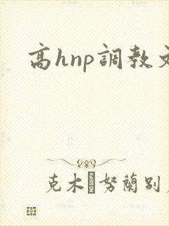 高hnp调教文