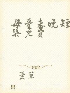 母爱未晚短剧全集免费