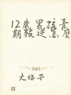 12岁男孩青春期叛逆怎么办