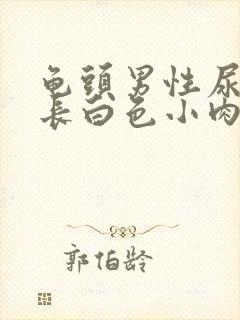 龟头男性尿道口长白色小肉粒