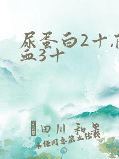 尿蛋白2十,隐血3十