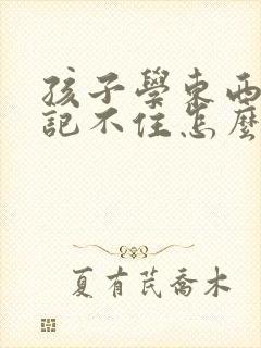 孩子学东西老是记不住怎么办