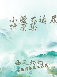 小腹不适尿频吃什么药