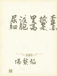 尿液里检查出白细胞高是怎么回事