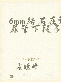 6mm结石在输尿管下段多长时间能下来