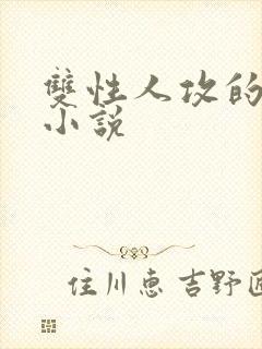 双性人攻的高h小说