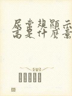 尿常规显示细菌高是什么意思