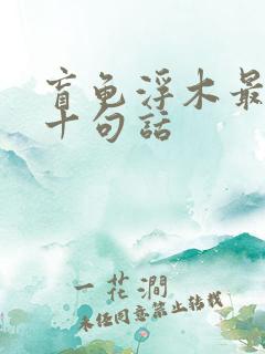 盲龟浮木最经典十句话