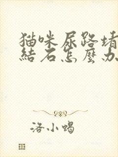 猫咪尿路堵塞尿结石怎么办