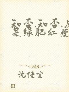 知否.知否.应是绿肥红瘦在线免费观看