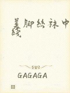 美脚丝袜中文在线