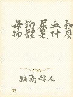 母狗尿血和白色物体是什么原因