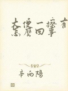 大便一擦有血是怎么回事