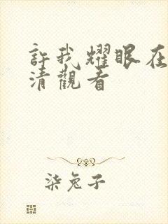 许我耀眼在线高清观看