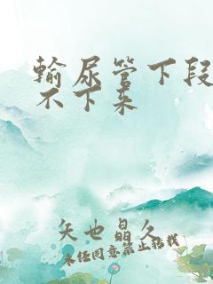 输尿管下段结石不下来