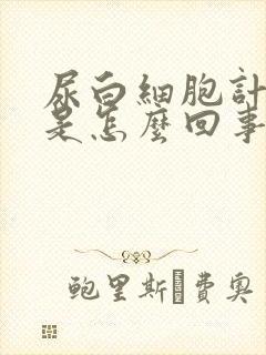 尿白细胞计数高是怎么回事儿