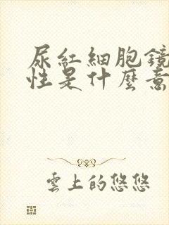 尿红细胞镜检阳性是什么意思